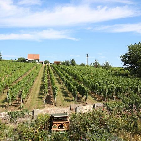 ホテルLa Belle Alsacienne - Route Des Vins D'Alsace Hattstatt エクステリア 写真