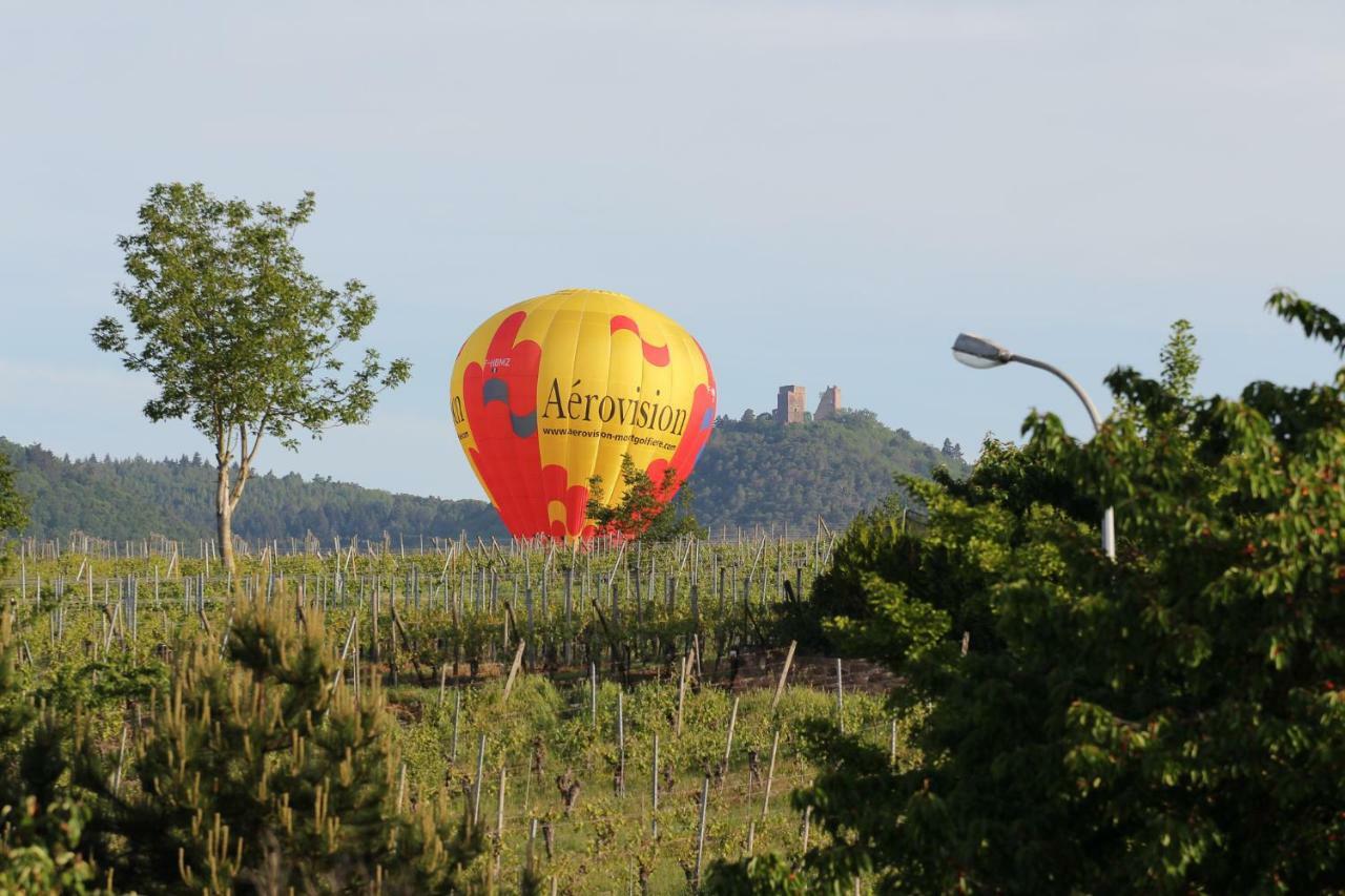 ホテルLa Belle Alsacienne - Route Des Vins D'Alsace Hattstatt 部屋 写真