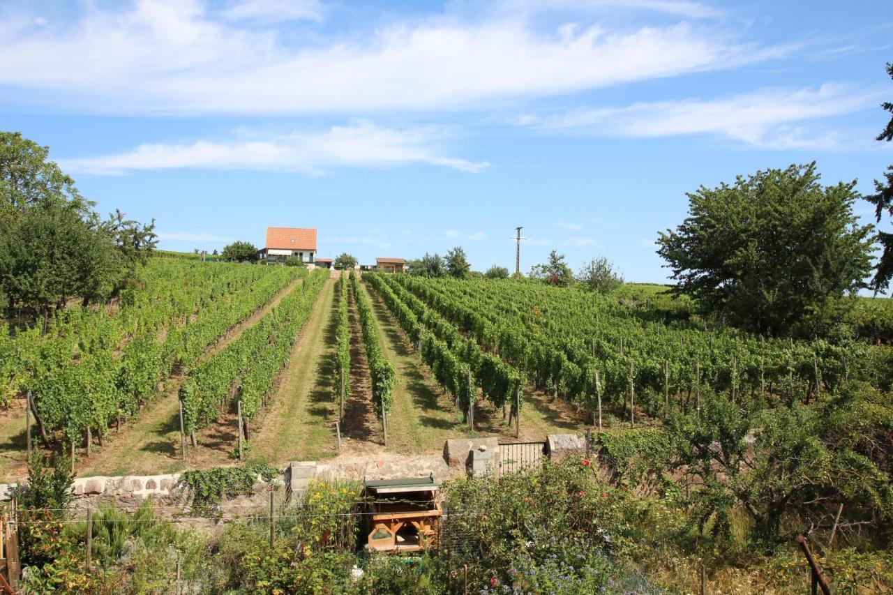 ホテルLa Belle Alsacienne - Route Des Vins D'Alsace Hattstatt エクステリア 写真